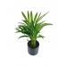 Areka Palmiyesi Midi Siyah Seramik Saksılı Areca Palm